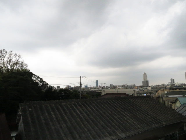 ルーフバルコニーからの眺望