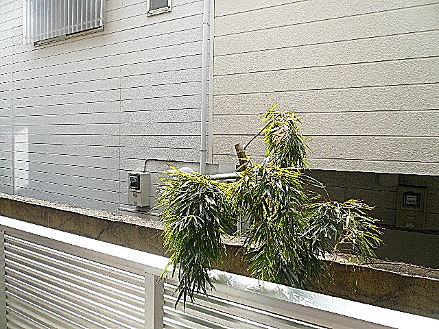 ホームズ緑が丘　1階からの眺望