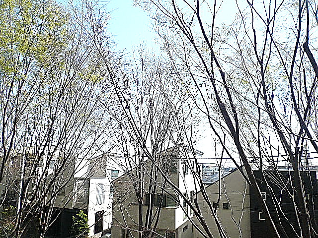 深沢ハウス　2階からの眺望204