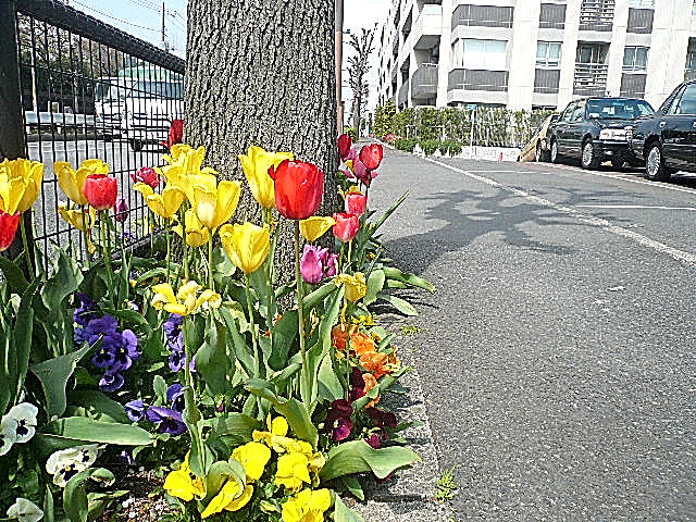 マンションまでの道のり