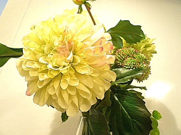 システムキッチン