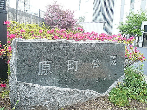 マンション第二恵比須苑　マンションへの道のり