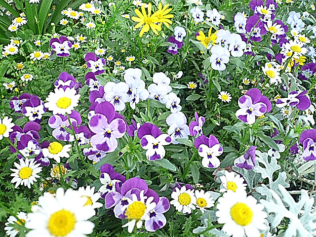 マンションまでの道のり