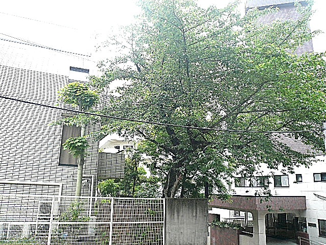 マンション第二恵比須苑　5階からの眺望514