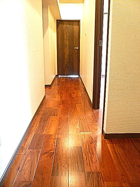 マンション都立大　廊下201