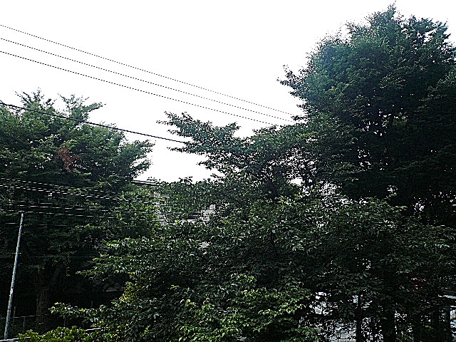 深沢ハウス　2階からの眺望