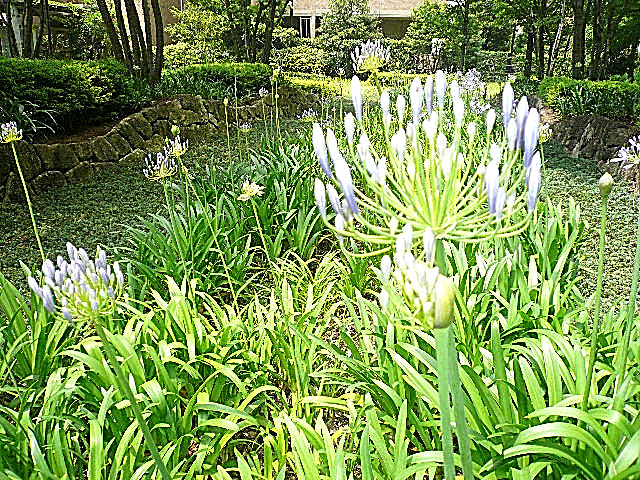 深沢ハウス　アプローチ