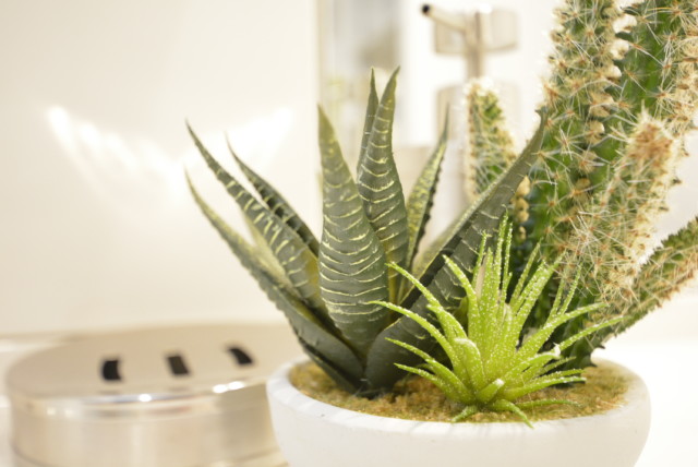 アフェクシオン南烏山 洗面室