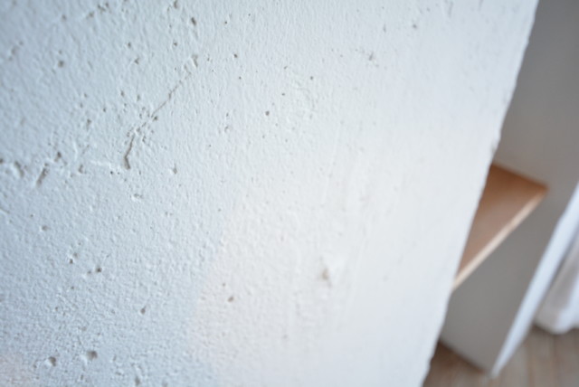 代々木スカイハイツ LDK