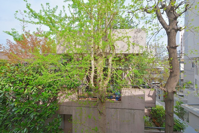 テラス目白 バルコニー