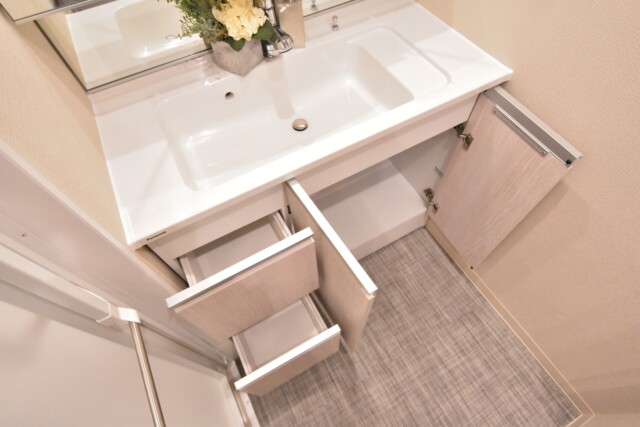 サンビューハイツ音羽 洗面室