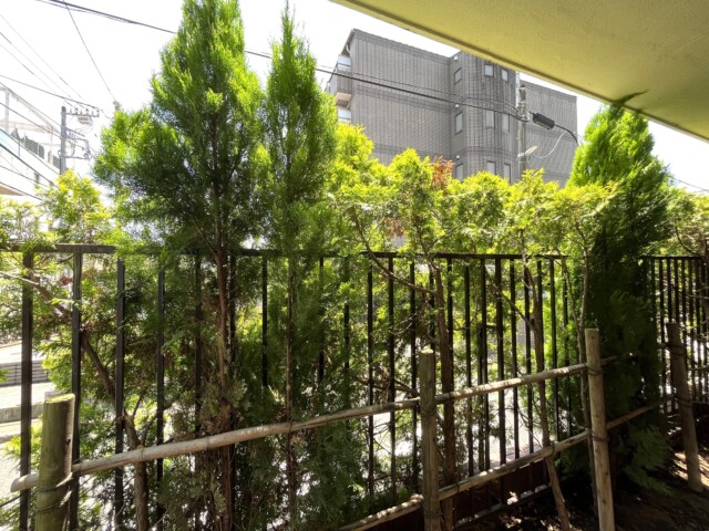 常磐松サマリヤマンション バルコニー