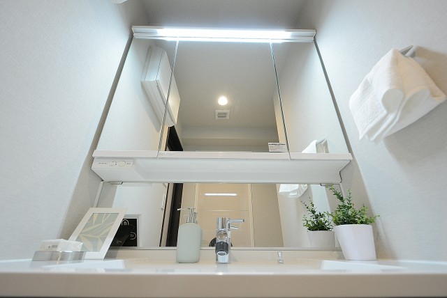 セザール月島 洗面