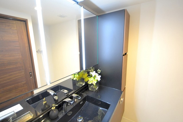 八雲スカイハイツ 洗面