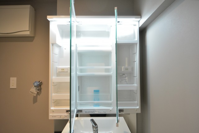 ドルフ目黒 洗面室