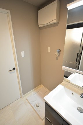 ドルフ目黒 洗面室