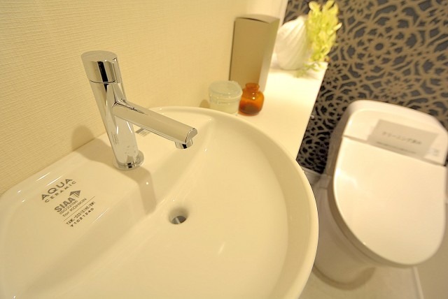 八雲スカイハイツ トイレ