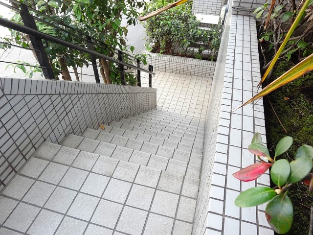 サンセピア幡ヶ谷　階段