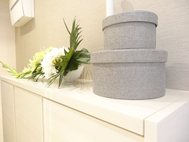 ライオンズマンション半蔵門　シューズＢＯＸ