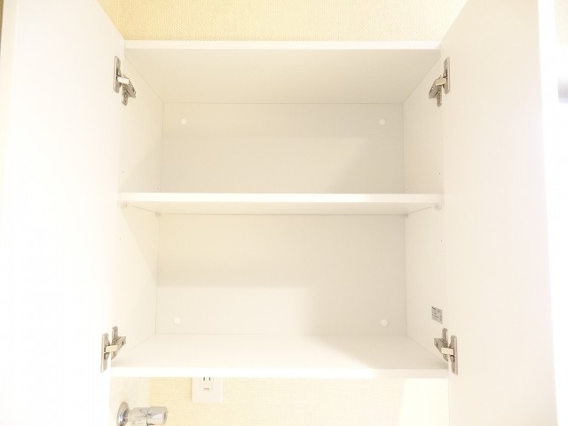 ライオンズマンション半蔵門　洗濯機置場上の収納
