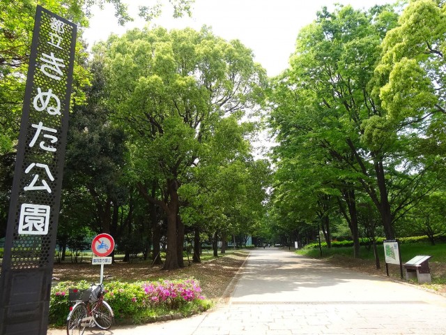 砧公園