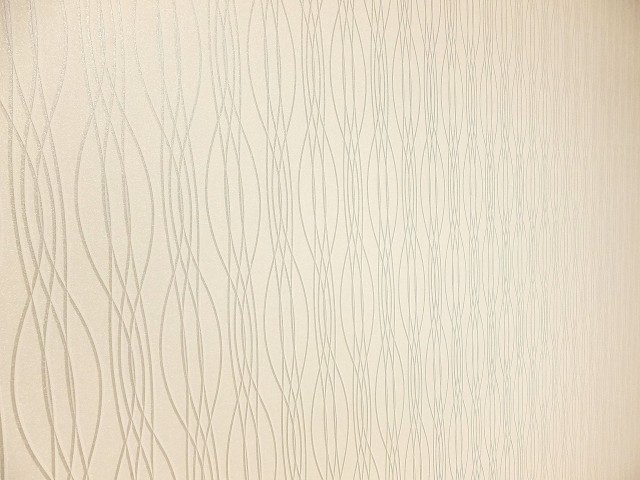 メゾン・ド・エビス　洋室　壁