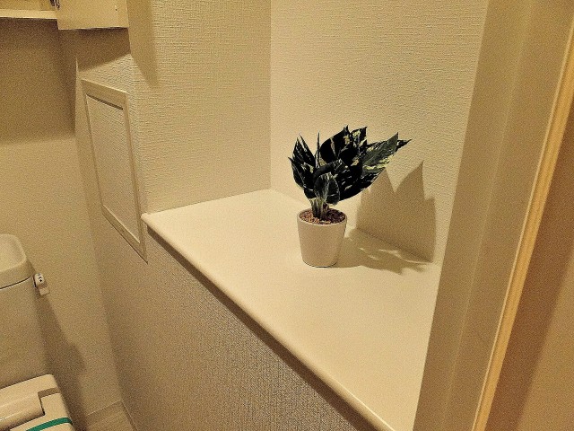 小石川ザ・レジデンス　トイレカウンター