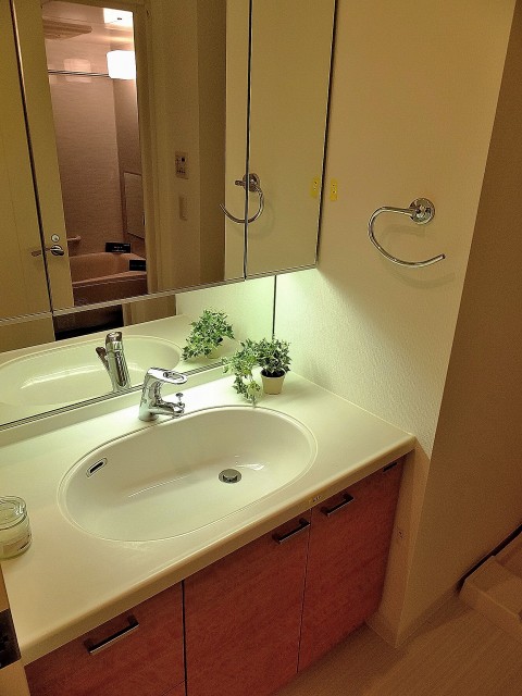 小石川ザ・レジデンス　洗面台