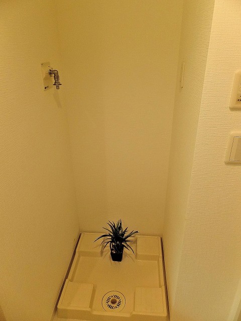 小石川ザ・レジデンス　洗濯機置場