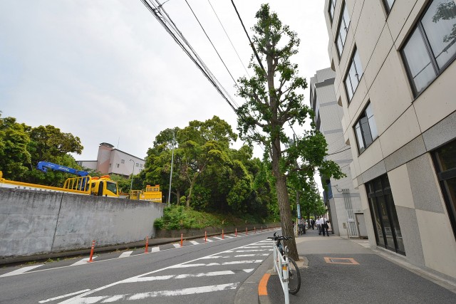 藤和参宮橋コープ　大通り