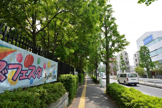 藤和参宮橋コープ　オリンピックセンター側歩道