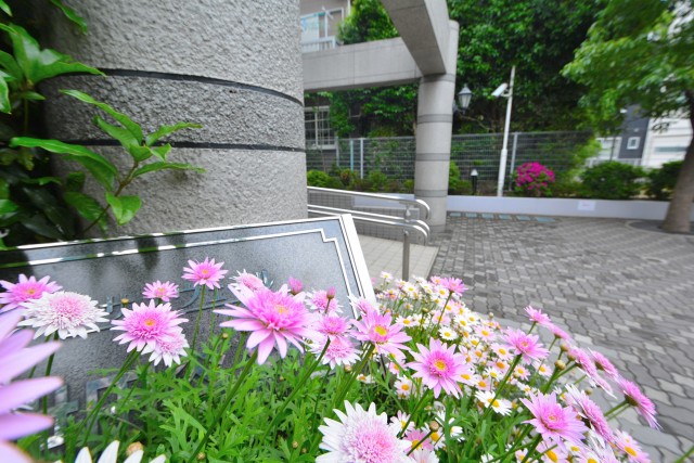 サンヴェール世田谷経堂　手入れの行き届いた植栽