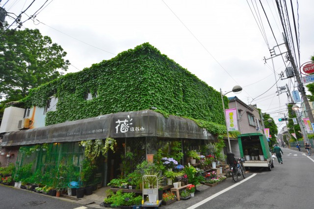 サンヴェール世田谷経堂　花屋
