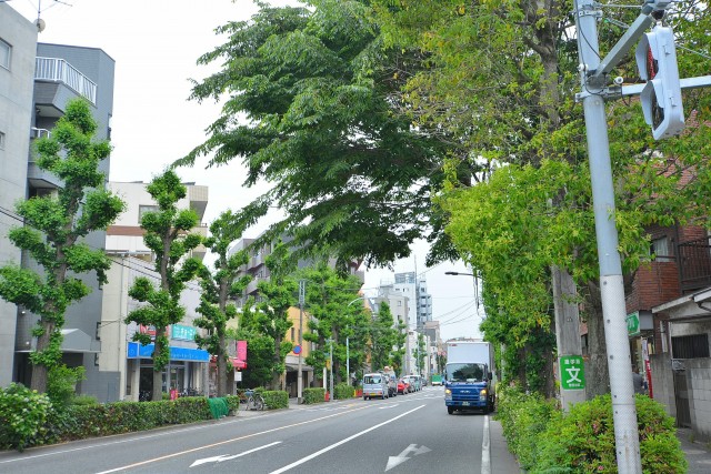 セボン世田谷桜　道順