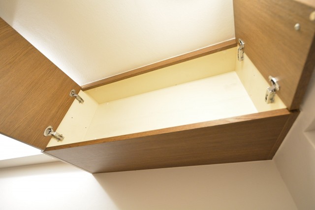 セザール月島　シューズボックス開