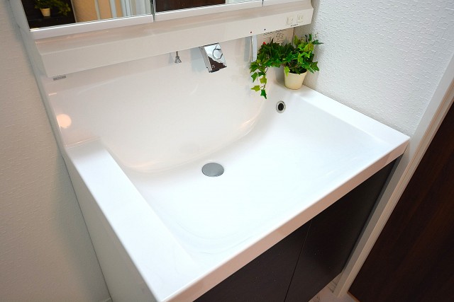 柿の木坂パレス　洗面台