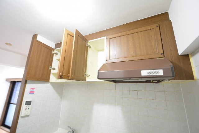 セザール月島　キッチン収納