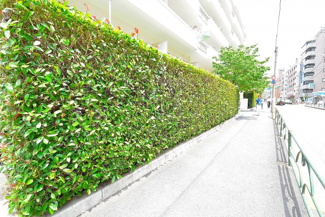 柏木ローズマンション　外観