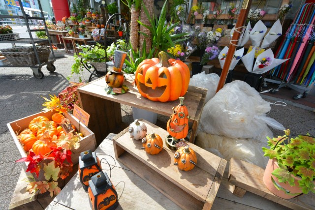 グローリア初穂新宿Ⅲ　周辺環境