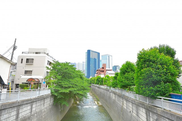 柏木ローズマンション　周辺