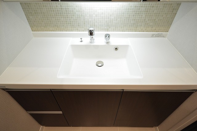 パレス池田山　洗面台