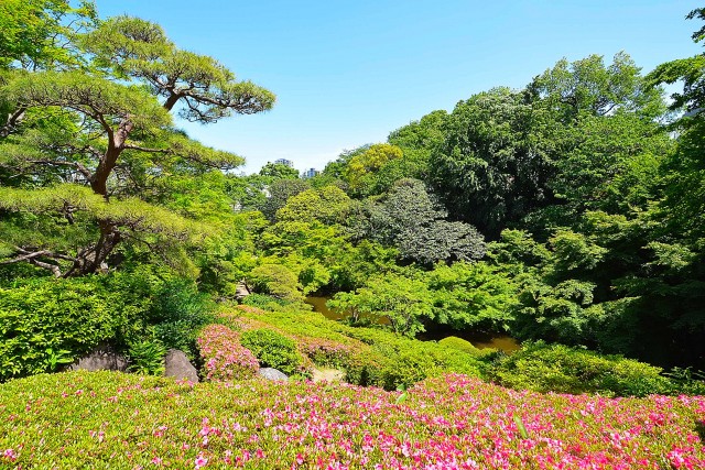 パレス池田山　周辺