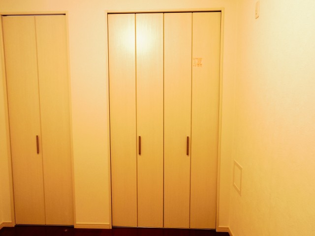 メゾンドール本郷　洋室約5.5帖収納