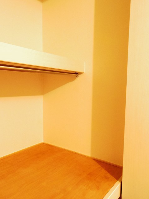 メゾンドール本郷　洋室約5.5帖収納