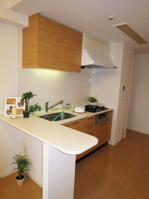 機能的なシステムキッチン