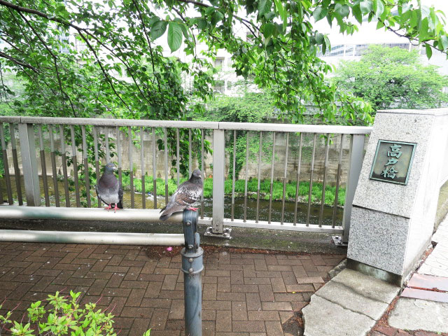 藤和高田馬場コープ　周辺環境