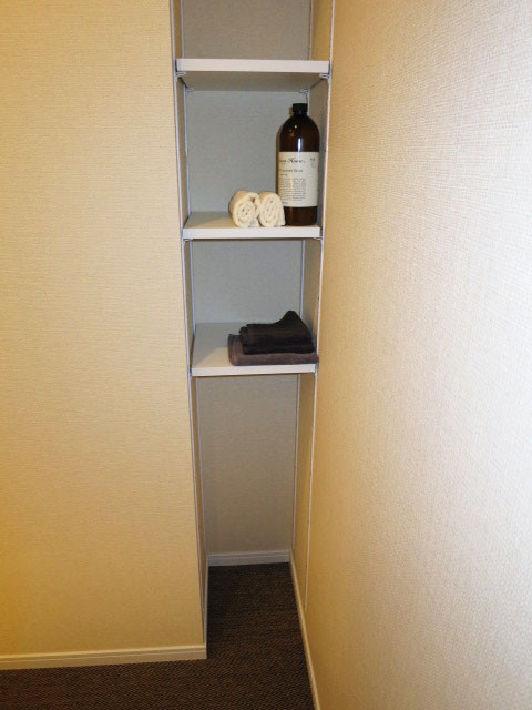 代官山マンション　リネン庫が設けられています105