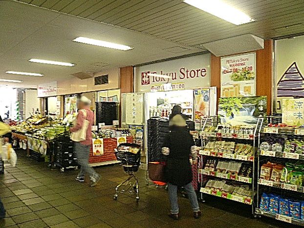 セーナ世田谷公園　祐天寺駅