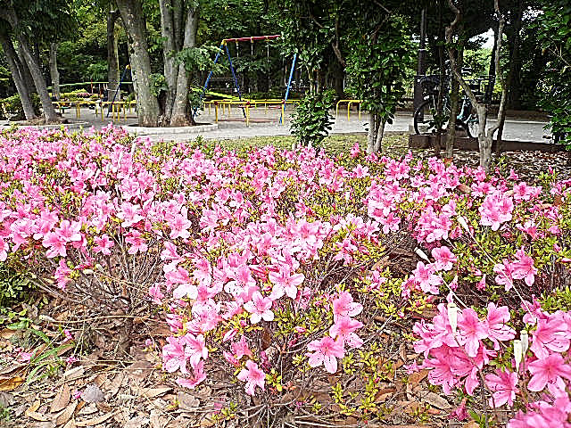 セーナ世田谷公園　マンションまでの道のり