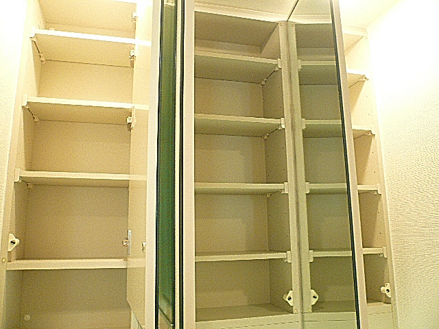 セーナ世田谷公園　洗面化粧台収納